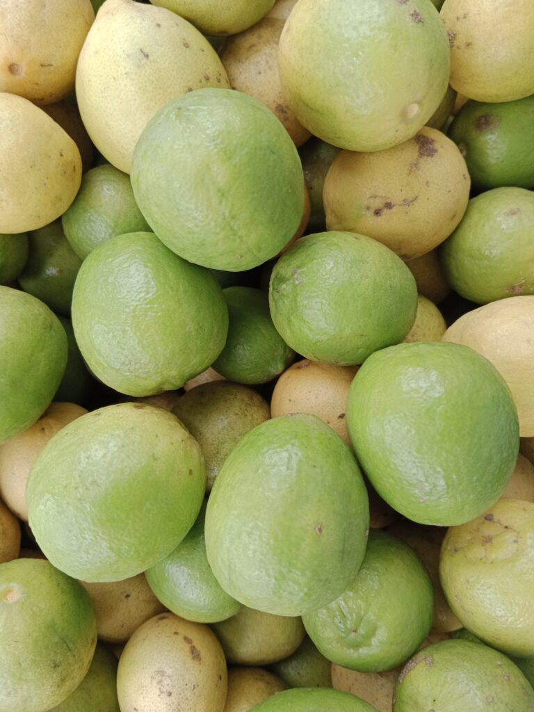 Lemon Season