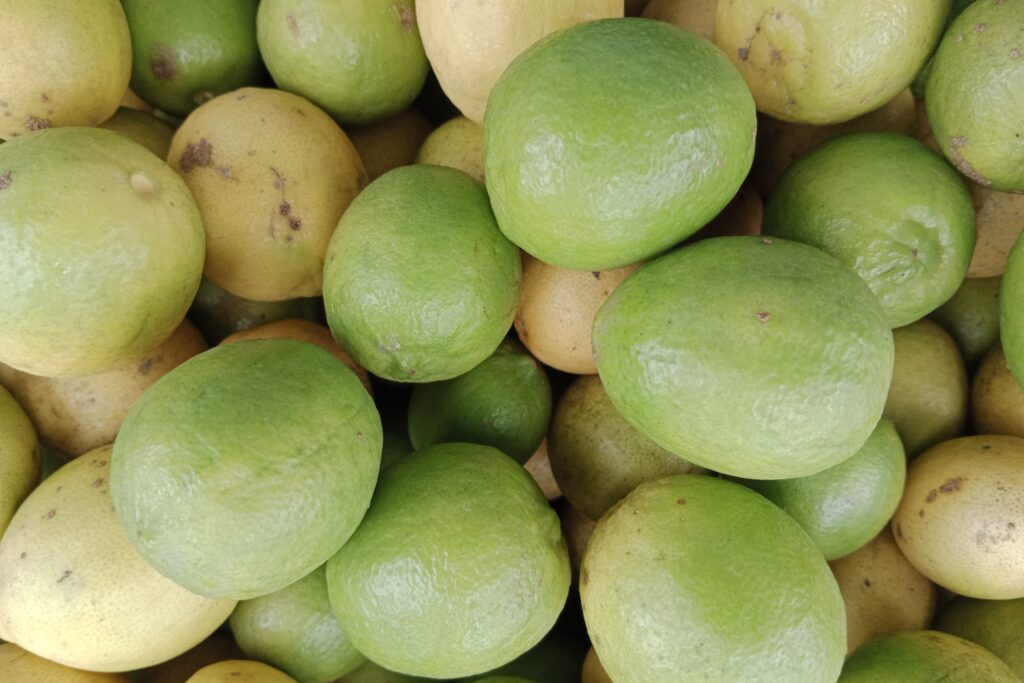 How to Grow & Care for Lemon Tree?