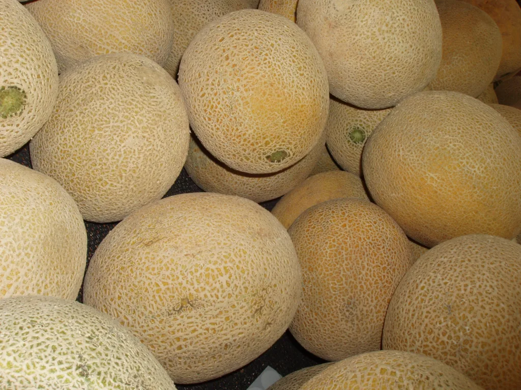 What are the 8 Best Muskmelon Fertilizers?