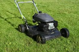 What are the 4 best lawn fertilizer.