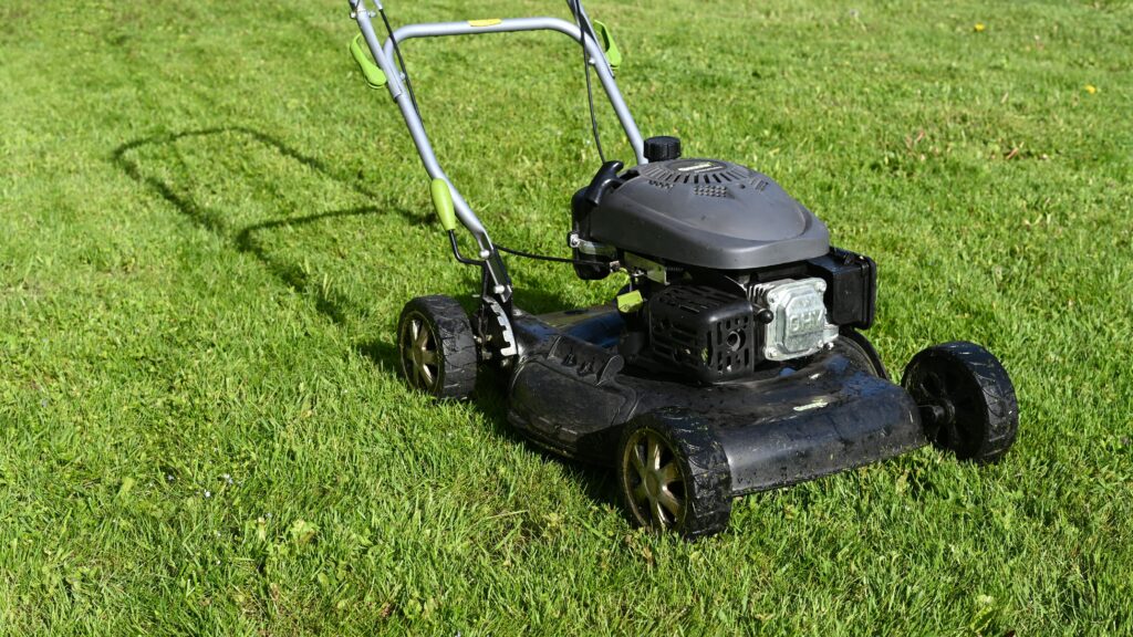 What are the 4 best lawn fertilizer.