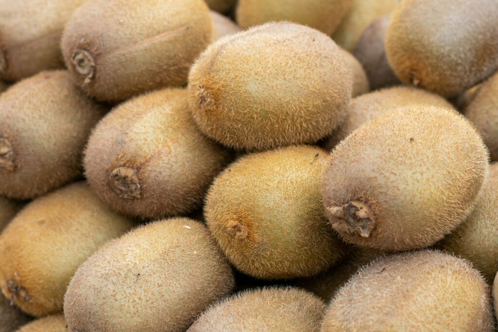 What are the 6 Best Kiwi Fertilizers?