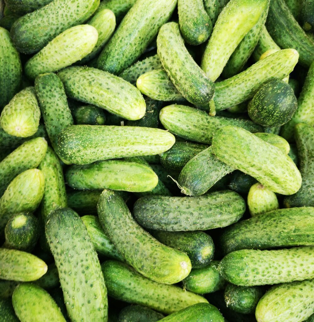 How do you increase the yield of a cucumber?