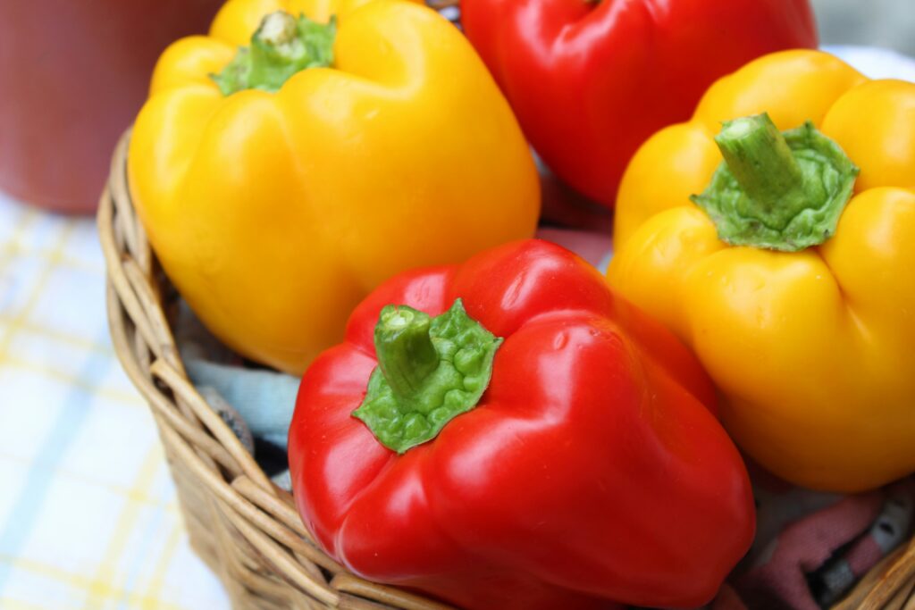 best fertilizer for Capsicum