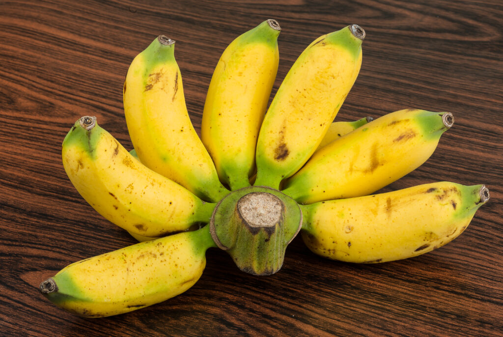 The Ultimate Guide to Banana Cultivation.