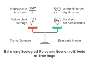 Phloem-Feeding Insects and Their Adaptations
