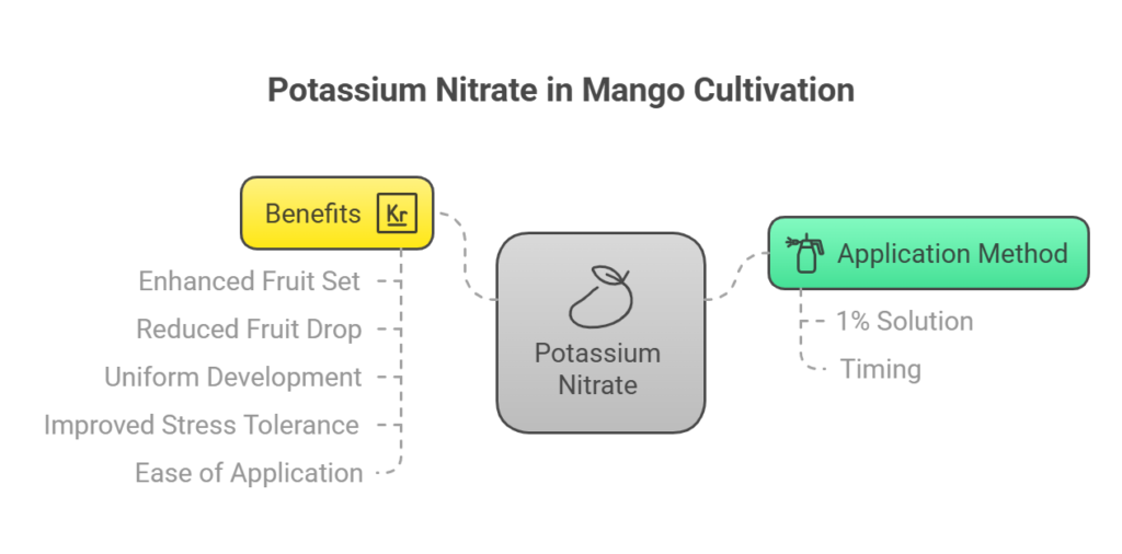 Revealing 7 Chemicals to Boost Mango Production