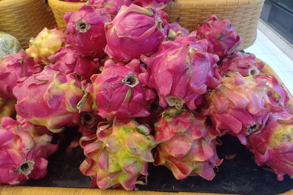 Dragon Fruit Farming Profit Per Hectare in Nepal