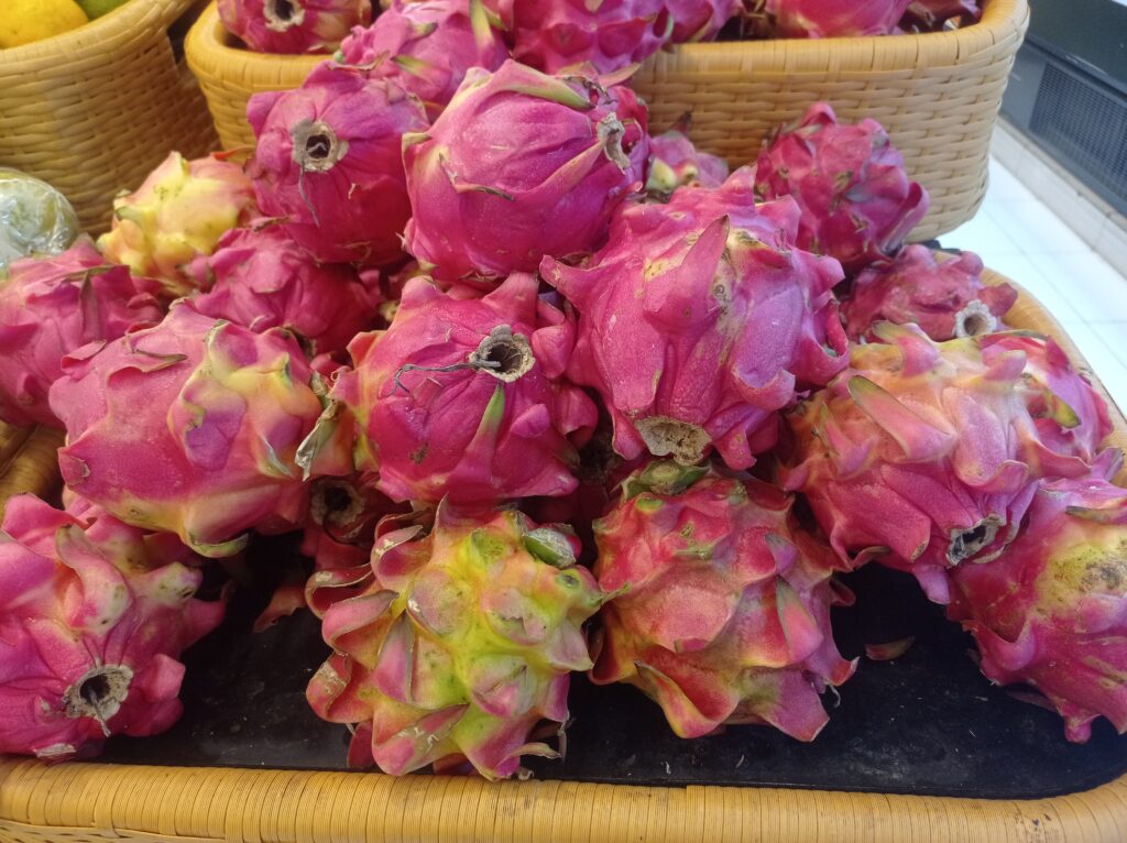 Dragon Fruit (Pitaya) Farming Profit Per Hectare in Nepal