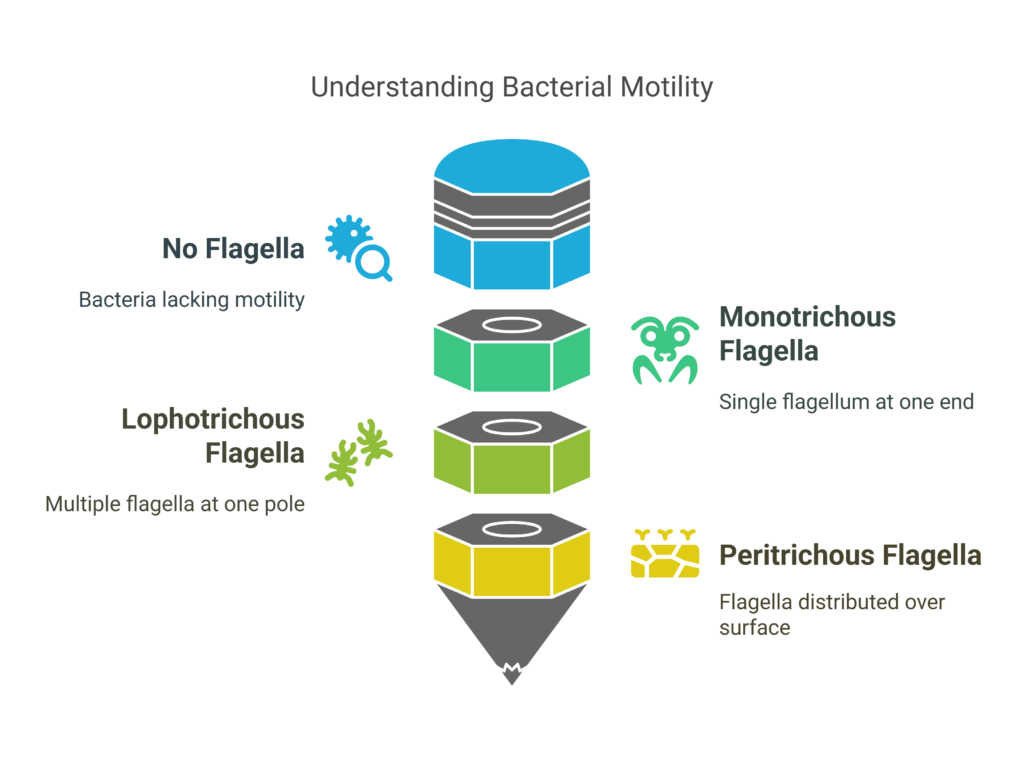 Understanding Phytopathogenic Bacteria in Plants