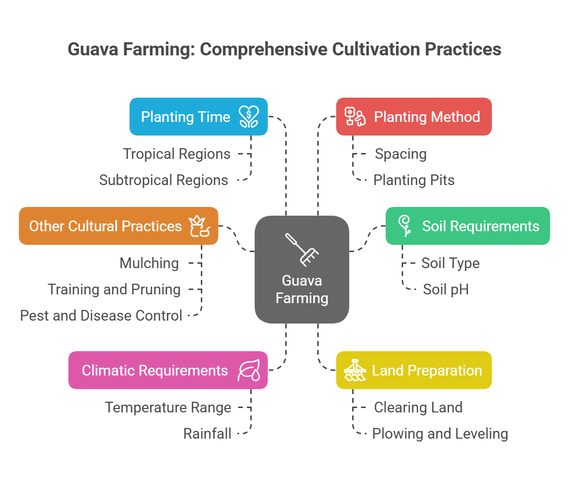 Guava Farming Profit from One Hectare in Nepal