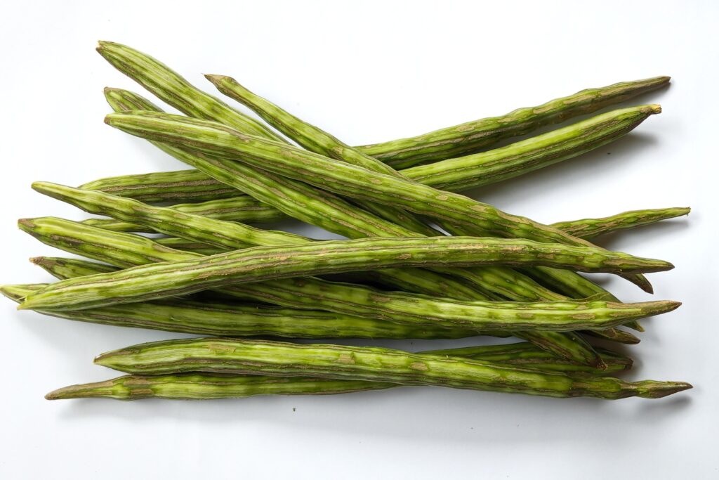 Moringa / Drumstick farming profit per acre