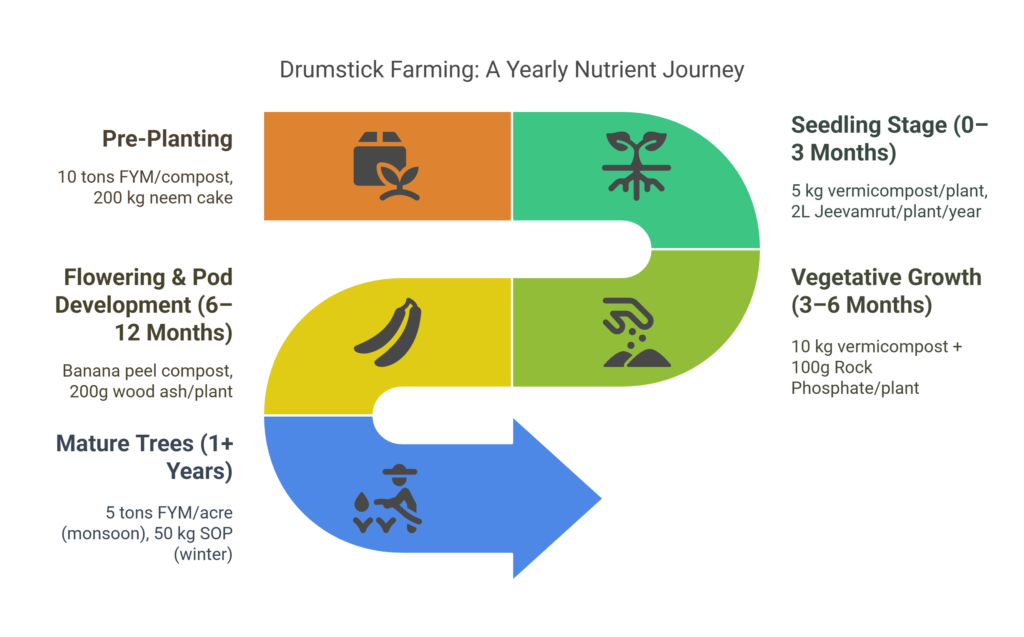 The Complete Guide to Drumstick Cultivation