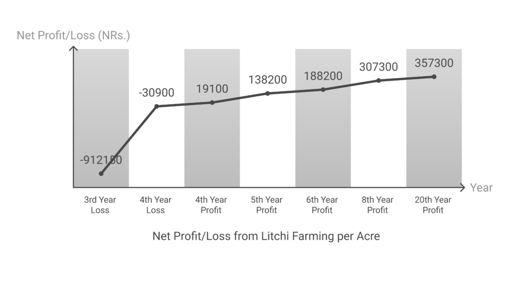 Litchi Farming Profit per Acre
