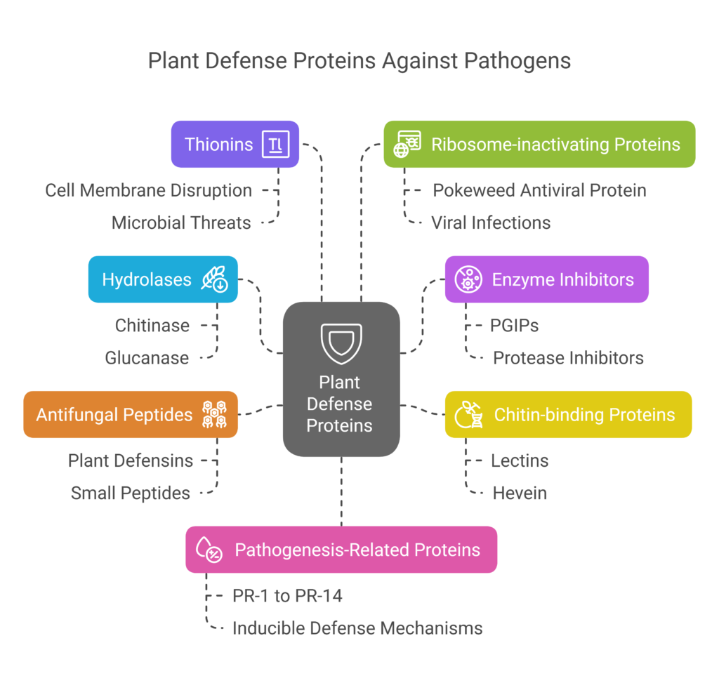 Enhancing Fungal Resistance in Plants