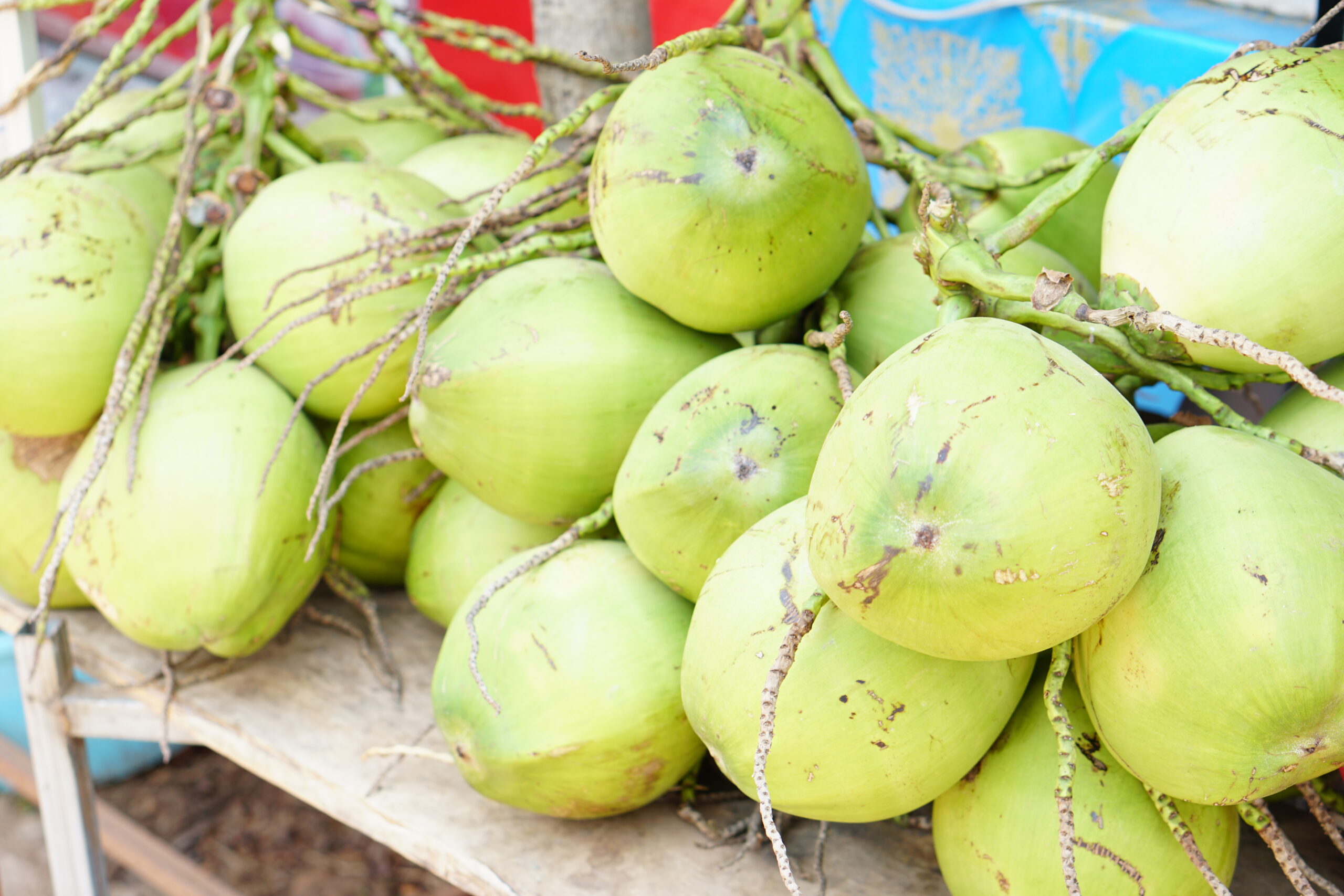 Coconut Production Guide: Step-by-Step Information.