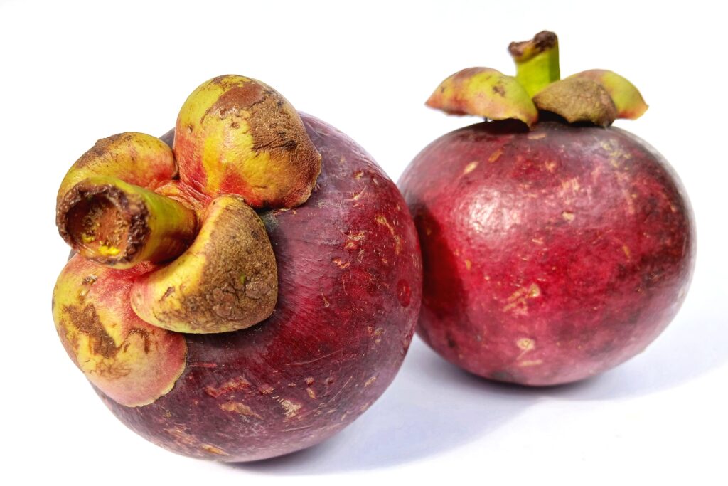 Mangosteen Farming Profit Per Acre