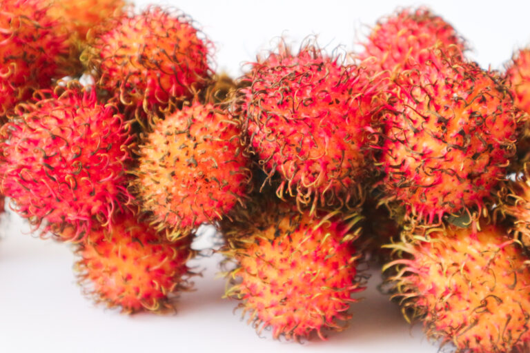 Rambutan Farming Profit Per Acre
