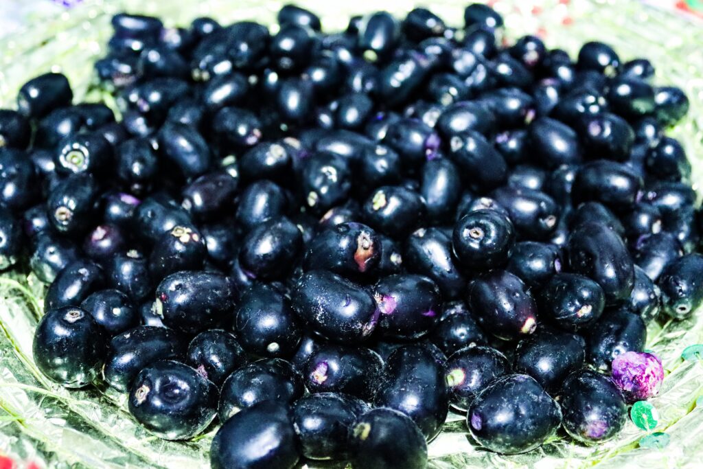 Jamun Farming Profit Per Acre