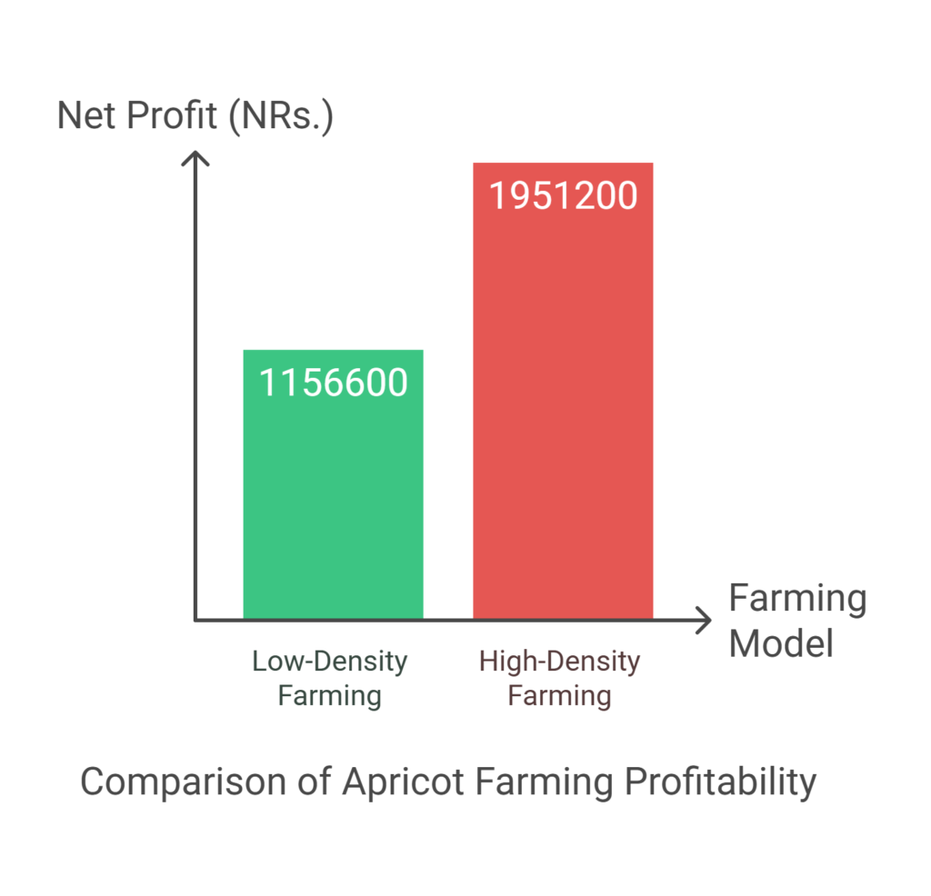 Apricot Farming Profit per Acre