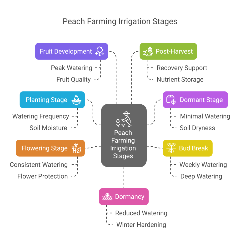 Peach Farming Profit Per Acre