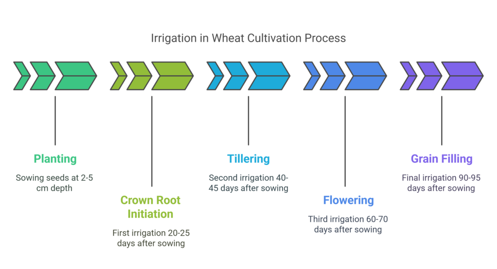 Wheat Farming Profit Per Acre