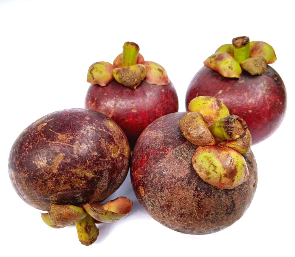 Mangosteen Farming Profit Per Acre