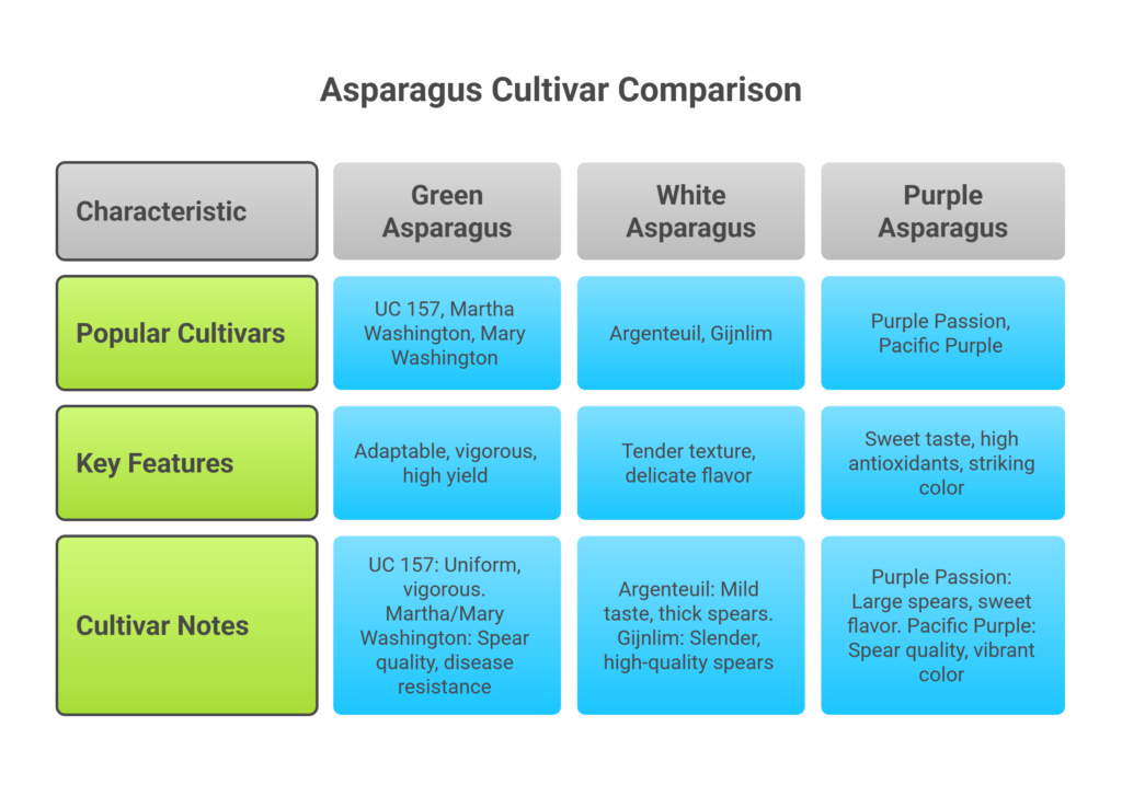 Asparagus Farming Profit Per Acre