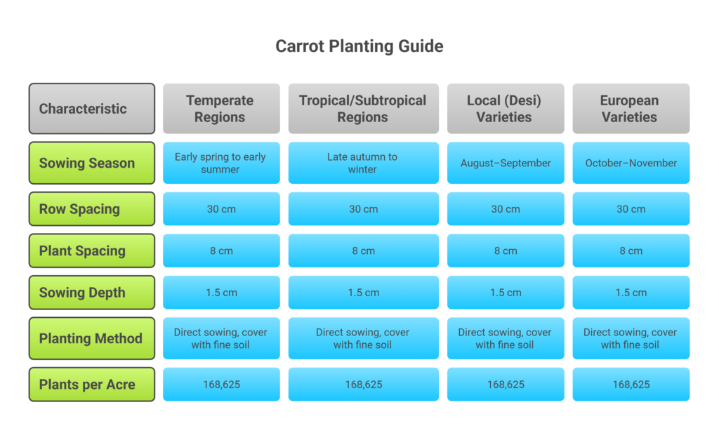 Carrot Farming Profit Per Acre