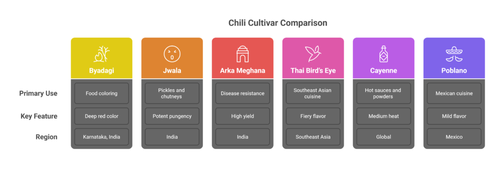 Chilli Farming Profit Per Acre