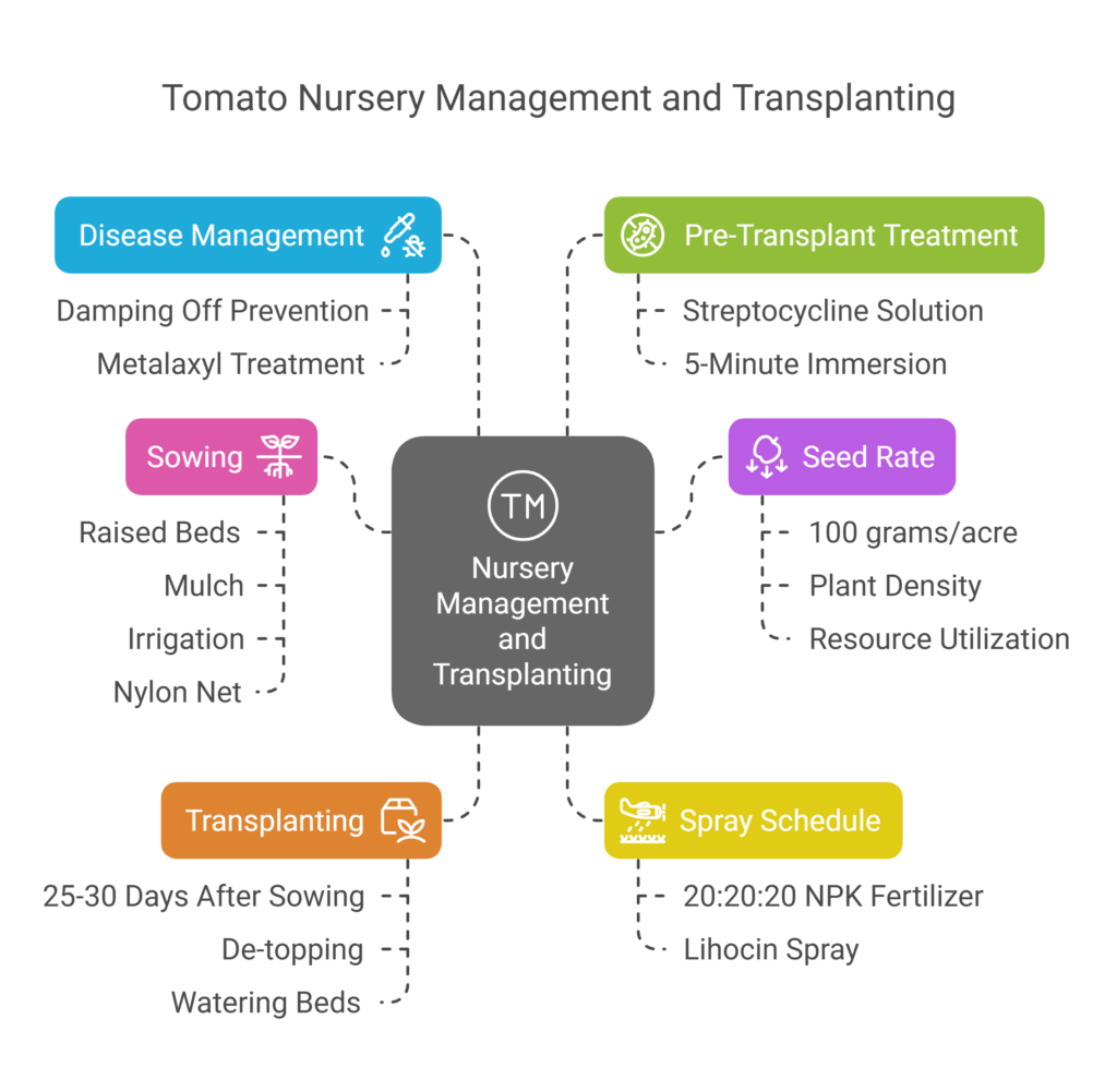 Tomato Farming Profit per Acre
