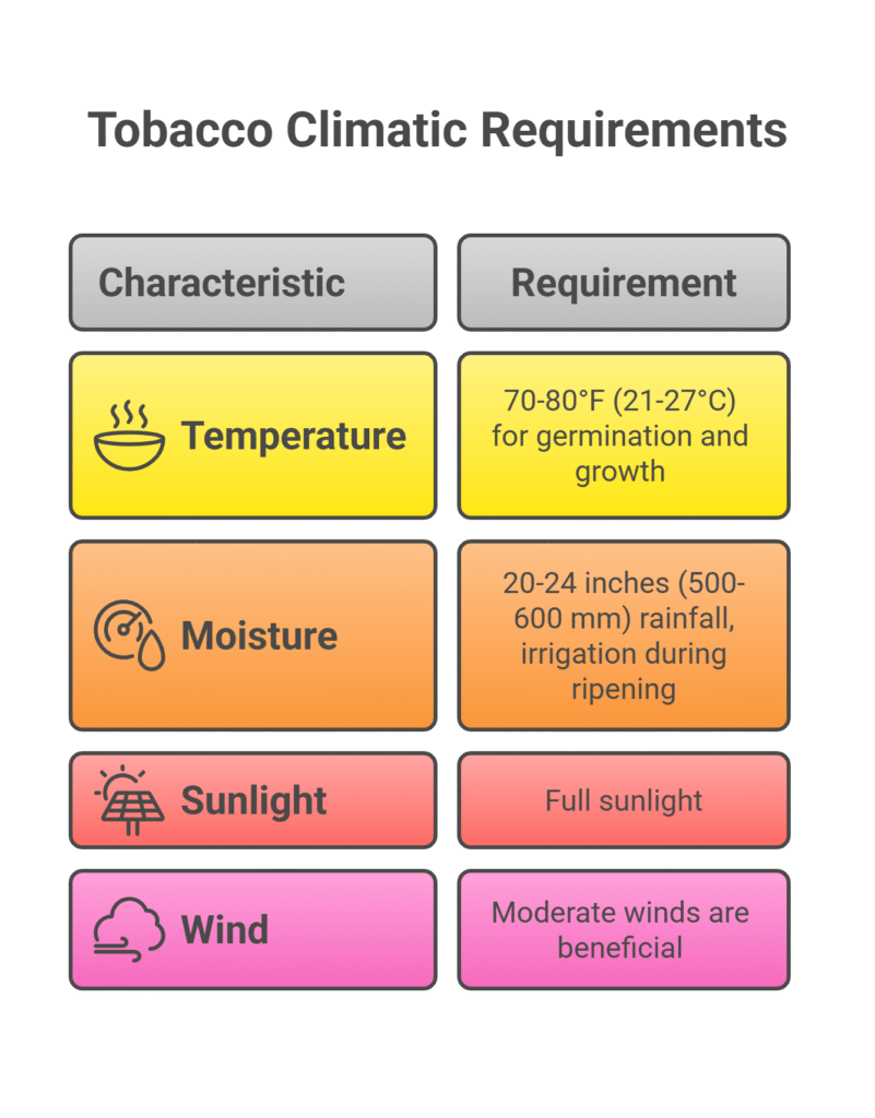 Tobacco Farming Profit Per Acre