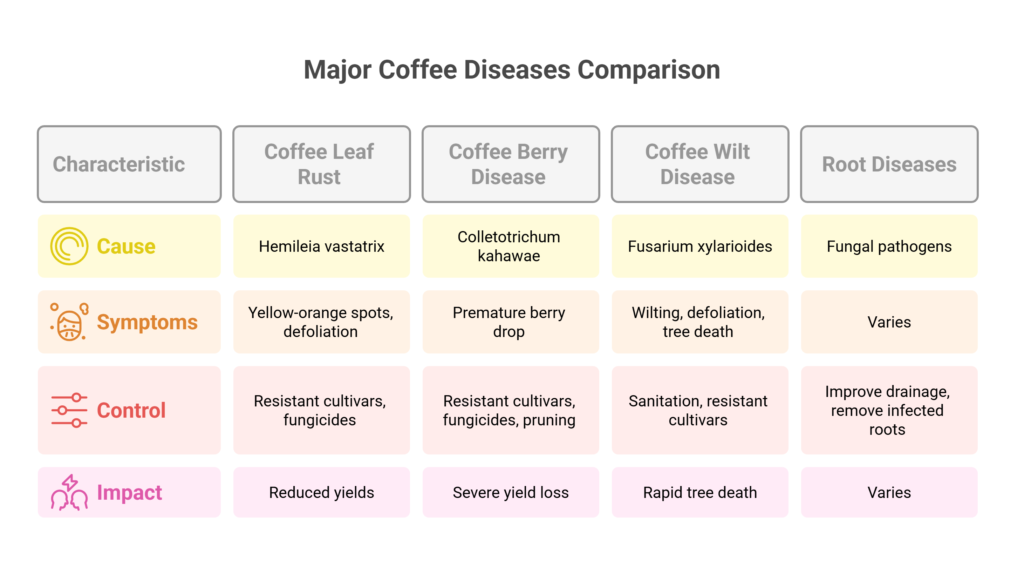 Coffee Farming Profit Per Acre