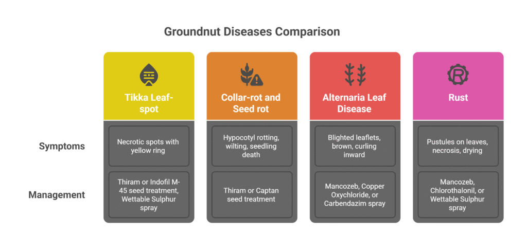 Groundnut farming profit per acre