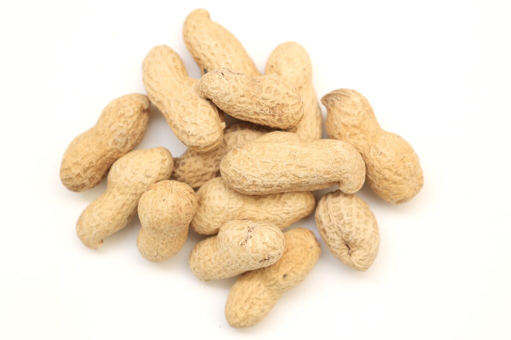 Groundnut farming profit per acre