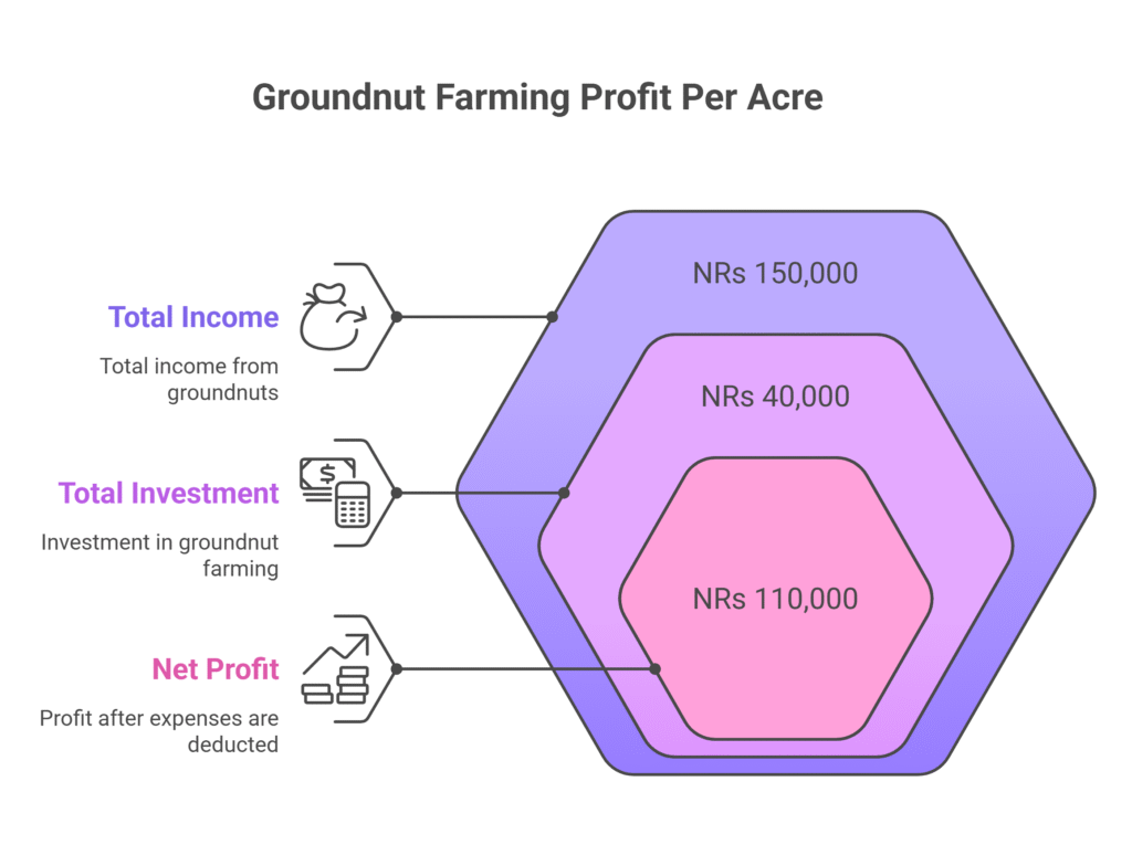 Groundnut farming profit per acre