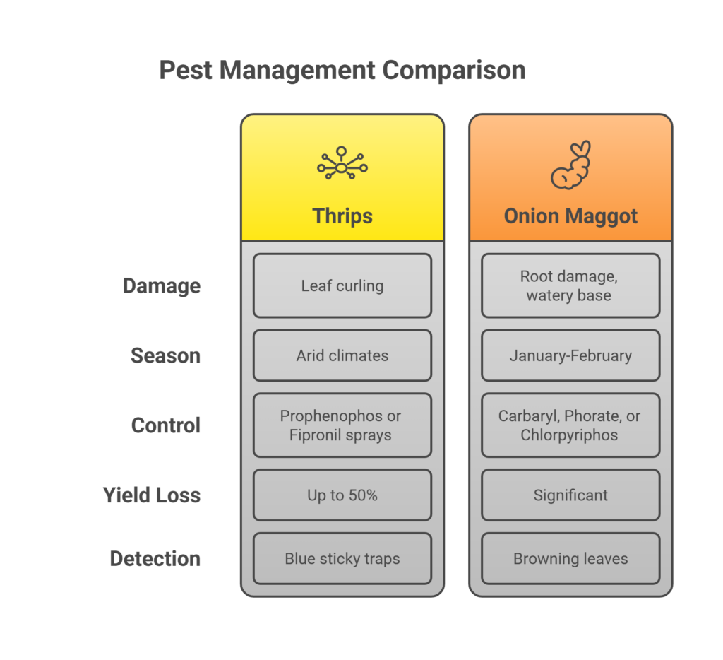 Onion farming profit per acre underline the economic viability and potential for growth in this agricultural sector.