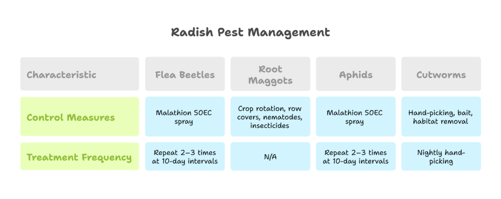 Radish Farming Profit Per Acre