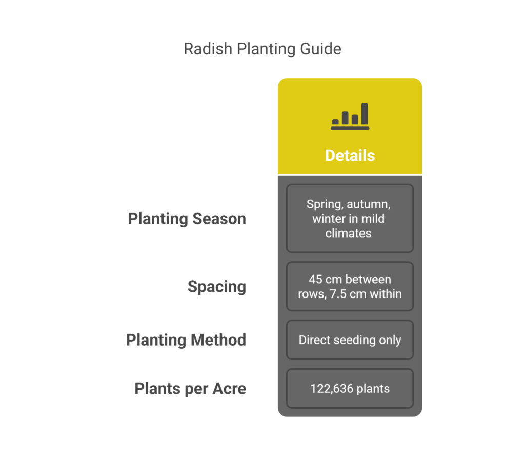 Radish Farming Profit Per Acre