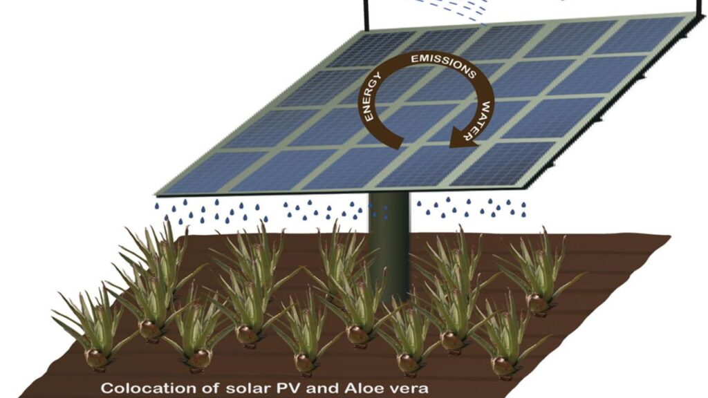 AGRIVOLTAICS CROP PRODUCTION