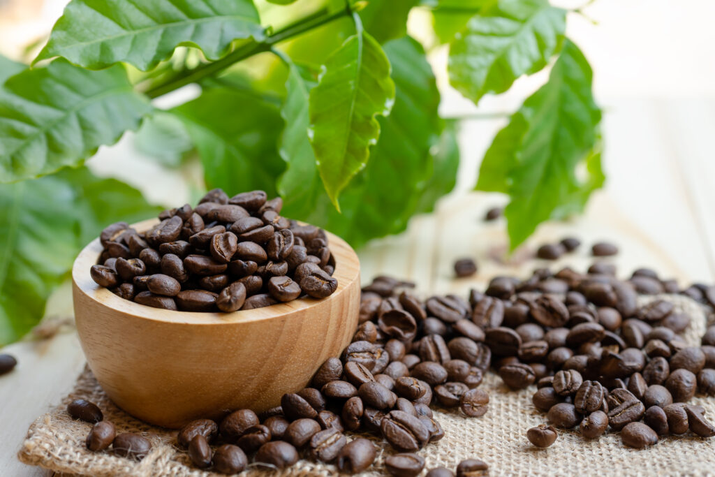 Coffee Farming Profit Per Acre