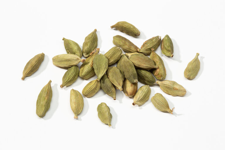 Cardamom Farming Profit Per Acre