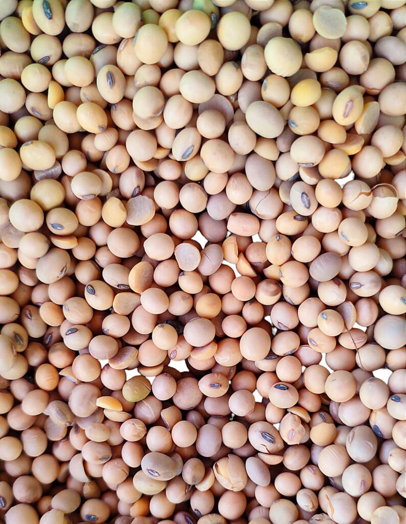 Soybean Farming Profit Per Acre