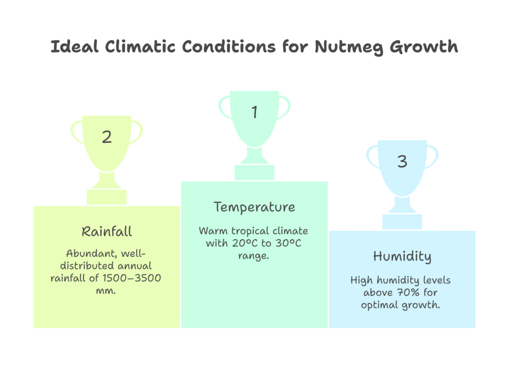 Nutmeg Farming Profit Per Acre