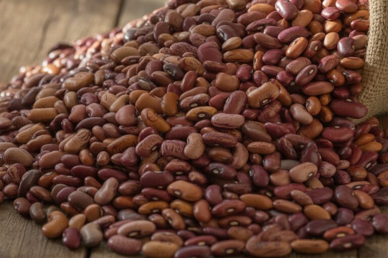 Kidney bean farming profit per acre