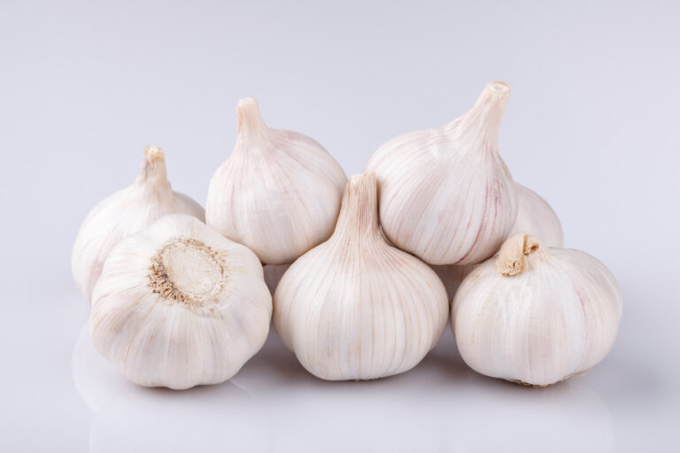 Garlic Farming Profit Per Acre