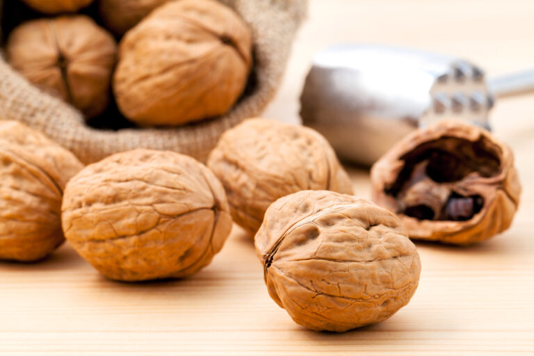 Walnut Farming Profit Per Acre