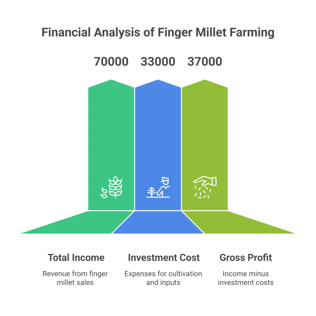 Finger Millet Farming Profit Per Acre (Ragi)
