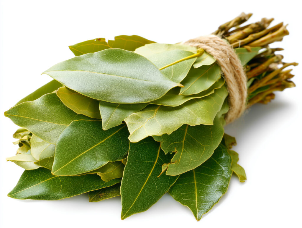 Bay Leaf Farming Profit Per Acre