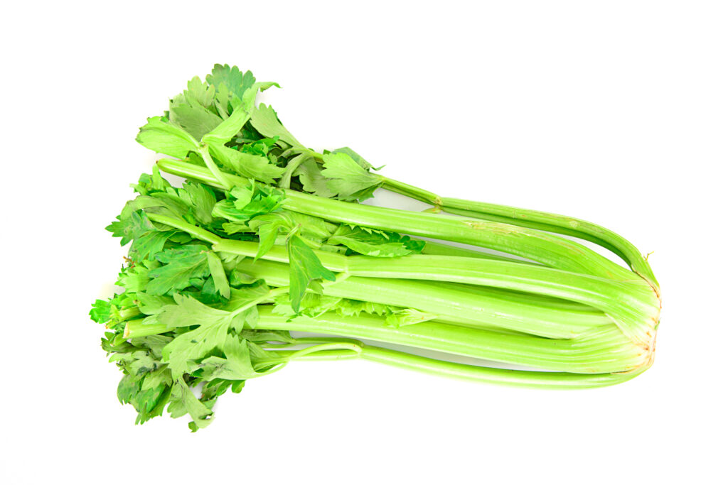 Celery Farming Profit Per Acre